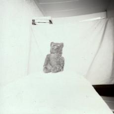 Ours, face, tirage, sténopé, 1999.